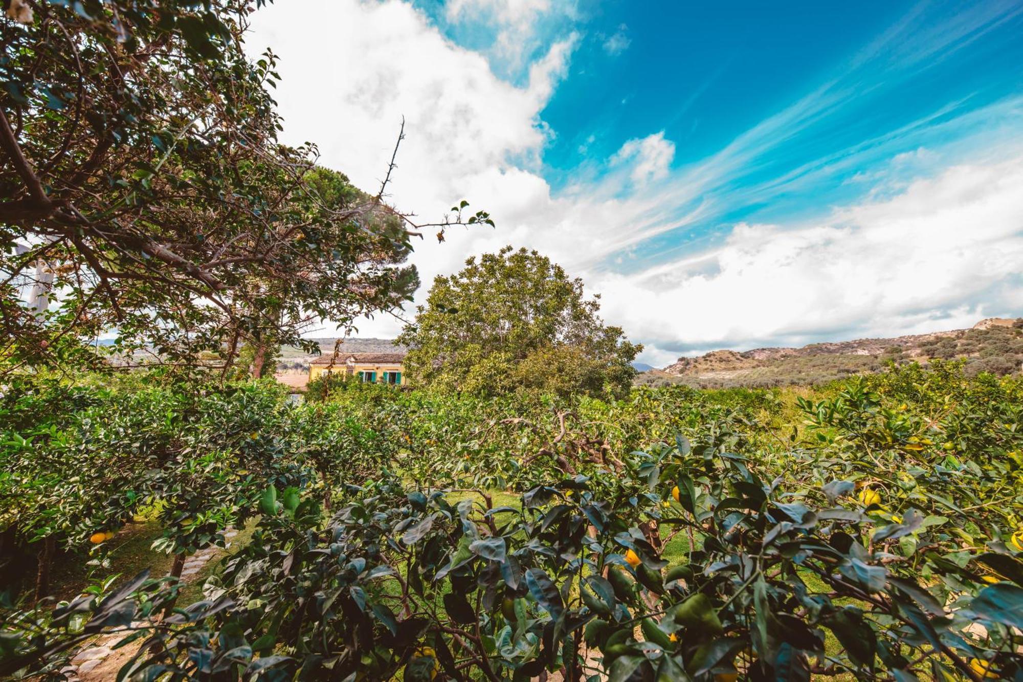 Agriturismo Villa Vittoria Guardavalle Екстер'єр фото