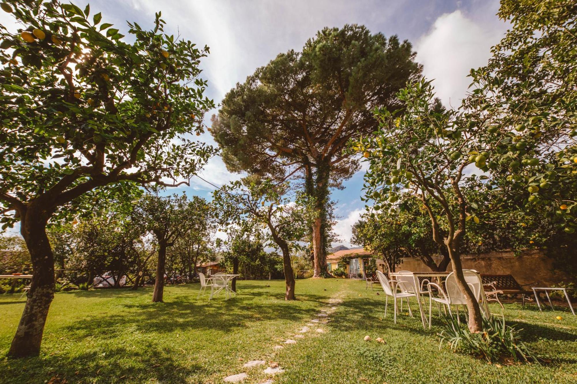 Agriturismo Villa Vittoria Guardavalle Екстер'єр фото